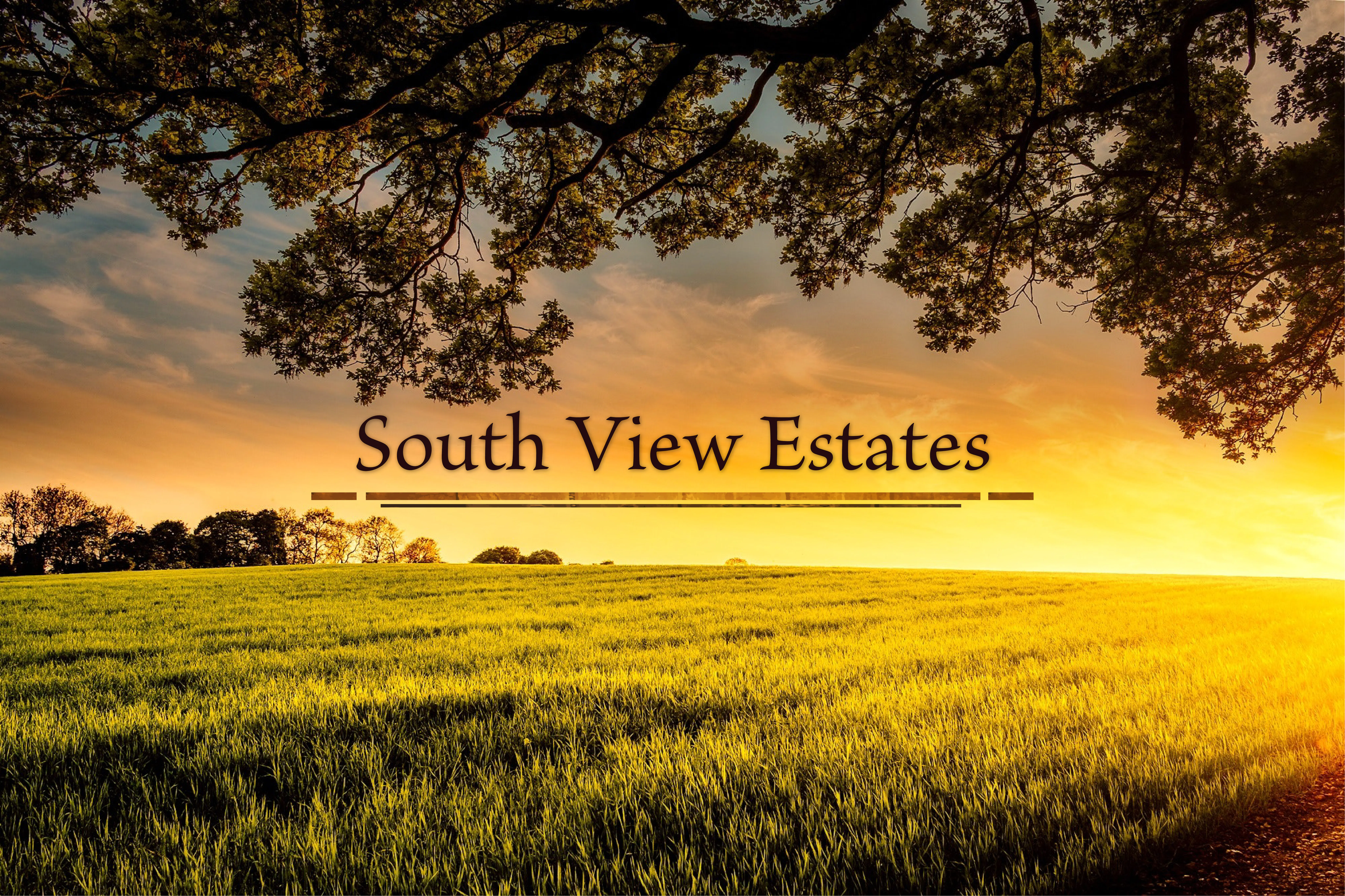 South View custom banner-01.jpg